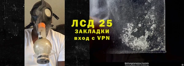 стаф Алексин