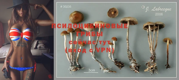 спайс Абинск