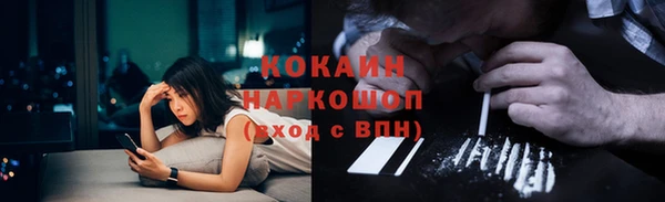 стаф Алексин