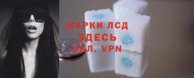 стаф Алексин