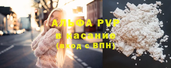 стаф Алексин