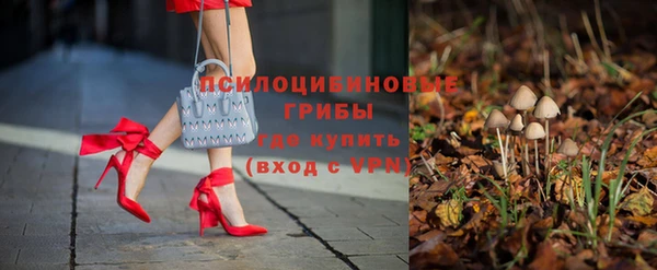 стаф Алексин