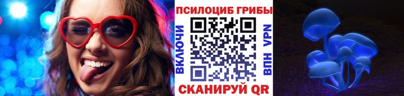 Галлюциногенные грибы Psilocybe  закладка  Мегион 